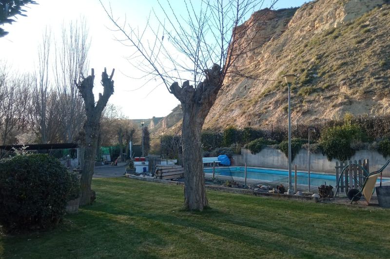 Parcela con césped, árboles podados y piscina